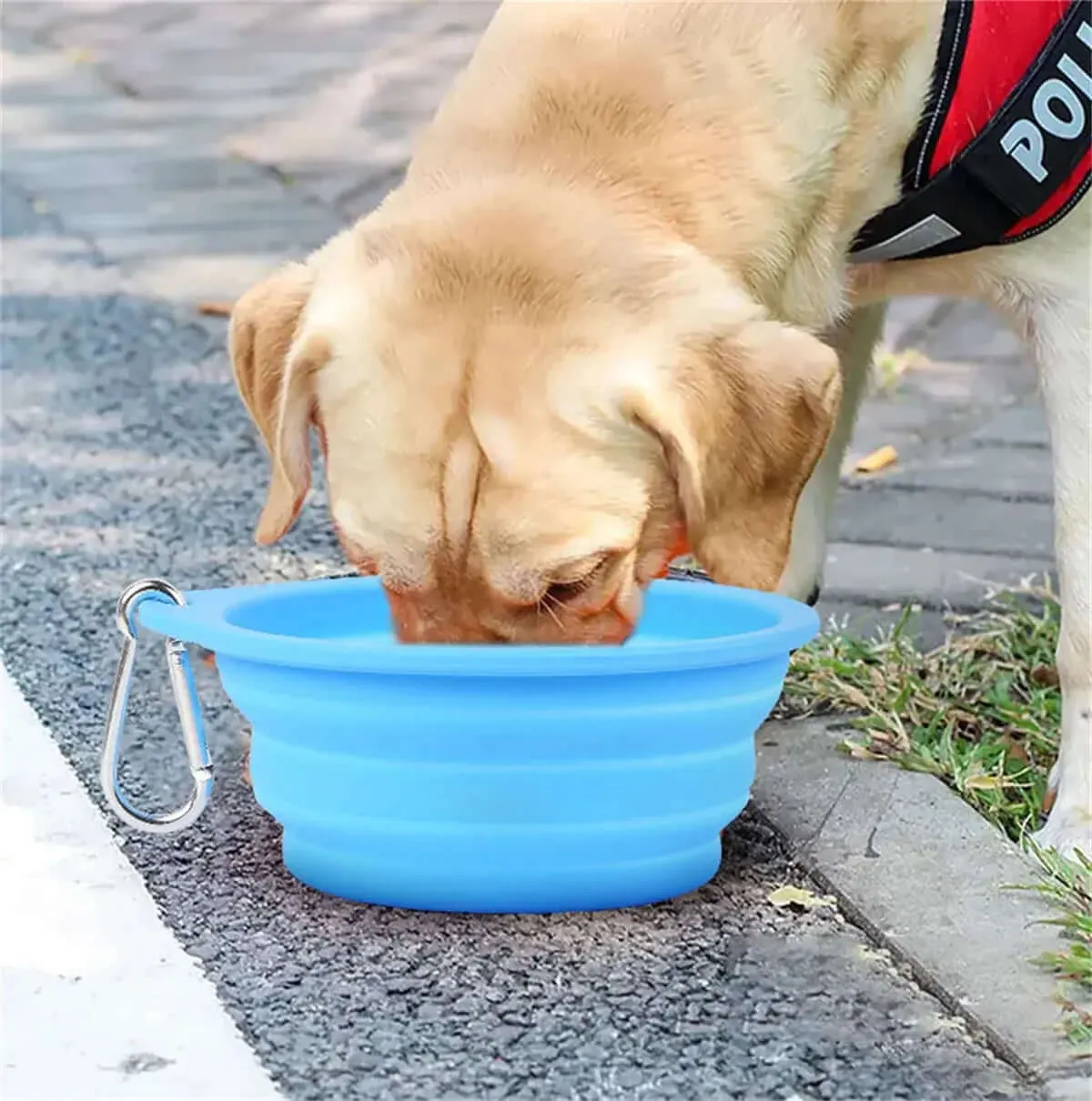350/600ml Large Collapsible Dog Bowl