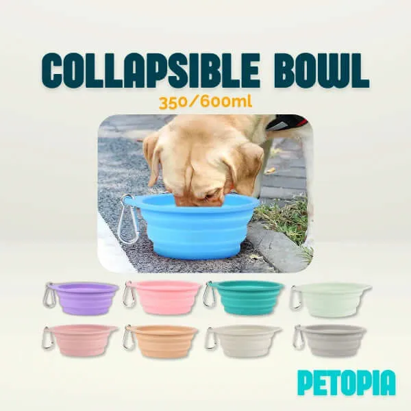350/600ml Large Collapsible Dog Bowl