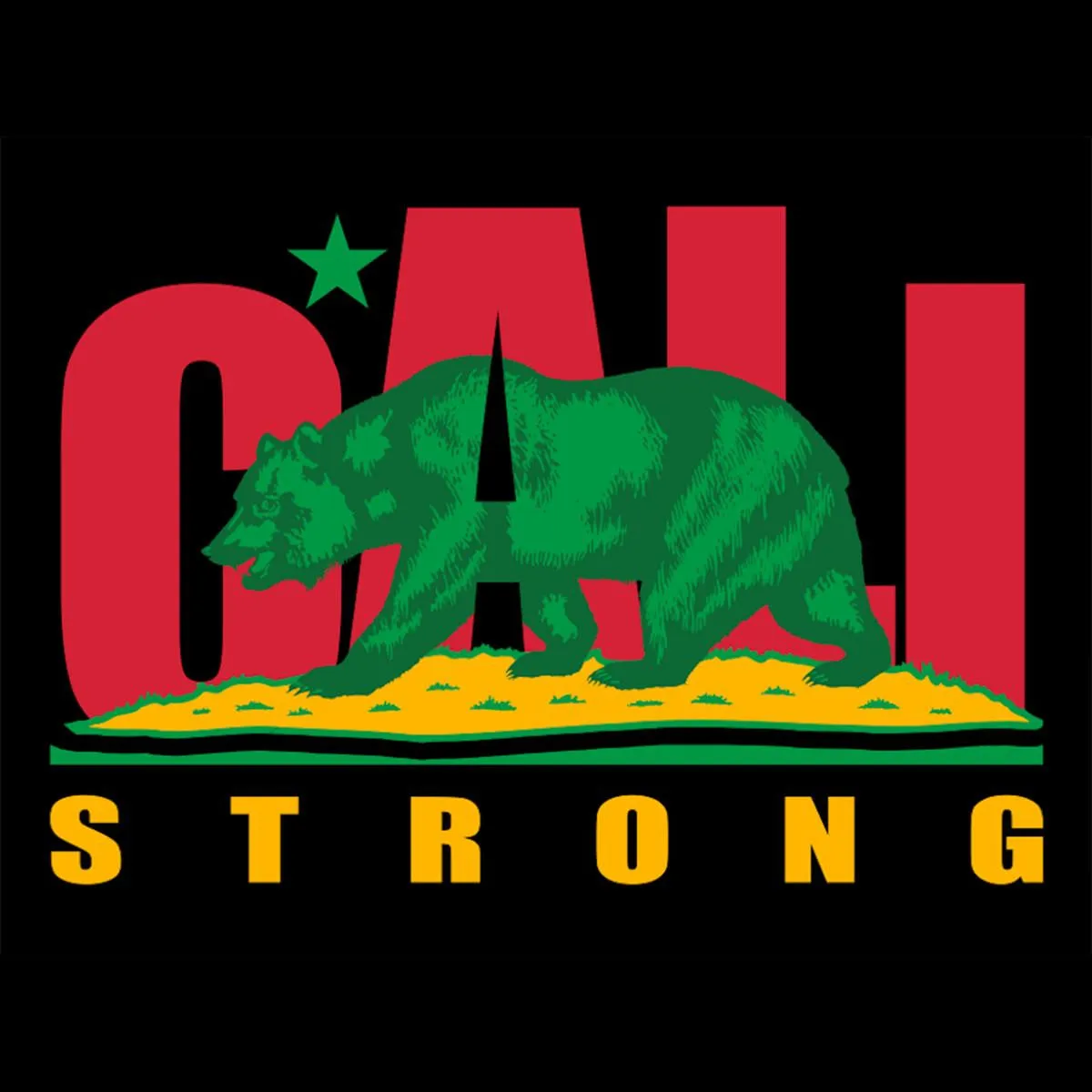 CALI Strong Original Rasta Skateboard Trick Complete